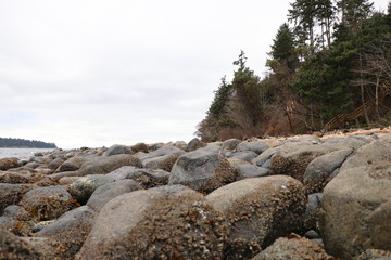 Rocky west coast beach