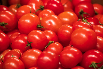 Ripe red tomatoes. Delicious farm vegetables for a healthy diet.