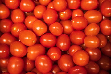 Ripe red tomatoes. Delicious farm vegetables for a healthy diet.