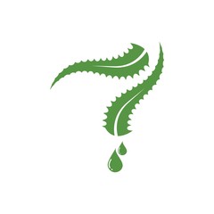 aloevera logo icon vector illustration design