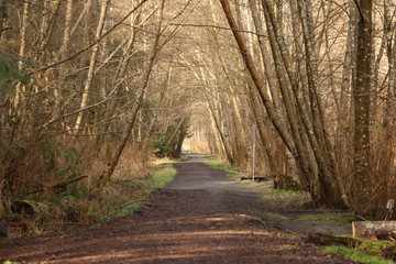 A-frame cover for the rustic pathway