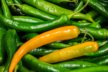 Green hot chili pepper close-up. Mexican Vegetables