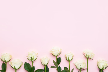 White roses border on pink background. Mothers day, Valentines Day, Birthday celebration concept. Copy space, top view