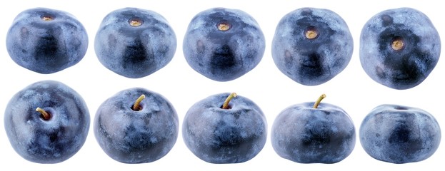 Set of blueberry berry isolated on white background. Blueberry collection with clipping path. Full depth of field.
