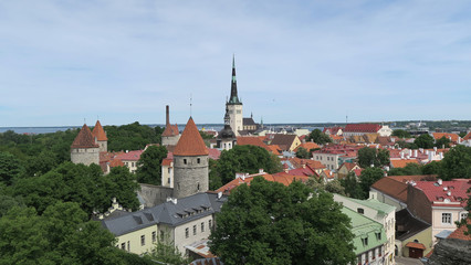 Obraz premium City view from Patkuli viewing platform (Patkuli Vaateplatvorm)