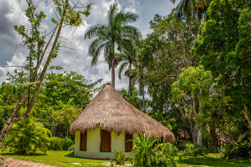A bungalow in the tropical vegetation of the "Chichen  Itza Park" (Yucatan, Mexico).