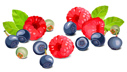 Blueberry and raspberry on a white background, leaves and berries