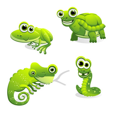 Set of 4 green cartoon critters: a smiling frog, a happy turtle, a funny chameleon and a goofy snake. Isolated on white.