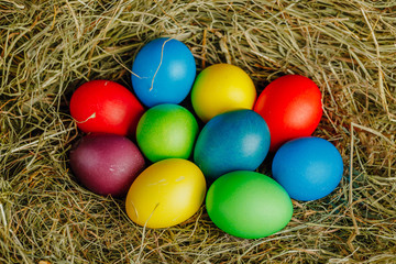 Fototapeta na wymiar multicolor Easter eggs in dry grass hay, close-up view
