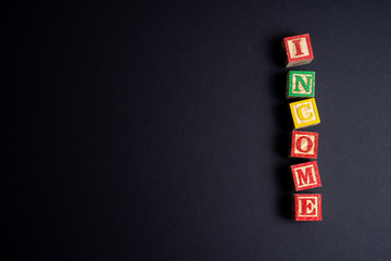 Income text on wooden cube with black background.