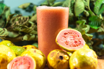 Glass of guava juice (Psidium guajava L.) between leaves and fruits on a neutral background