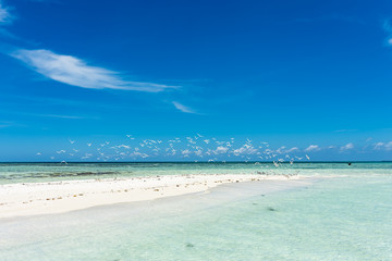 Tropical white beach in 
