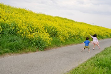 Obraz premium 菜の花ではしゃぐ子ども達
