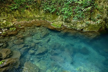 Fototapeta na wymiar 秋芳洞入り口のエメラルドグリーンの渓流
