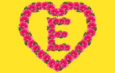 Alphabet E Design using Pink Hibiscus Flower and love shape on isolated Background. China Rose love shape letter.Double headed Pink Hibiscus font