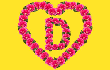 Fototapeta premium Alphabet D Design using Pink Hibiscus Flower and love shape on isolated Background. China Rose love shape letter.Double headed Pink Hibiscus font