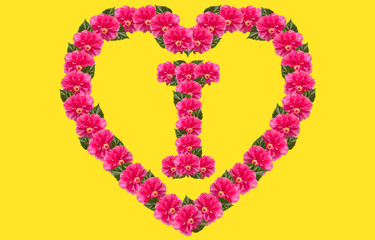 Alphabet I Design using Pink Hibiscus Flower and love shape on isolated Background. China Rose love shape letter.Double headed Pink Hibiscus font