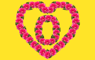 Alphabet O Design using Pink Hibiscus Flower and love shape on isolated Background. China Rose love shape letter.Double headed Pink Hibiscus font