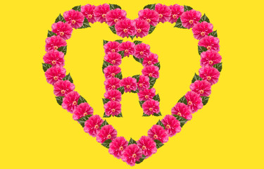 Alphabet R Design using Pink Hibiscus Flower and love shape on isolated Background. China Rose love shape letter.Double headed Pink Hibiscus font