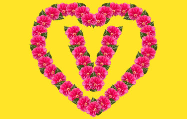 Alphabet V Design using Pink Hibiscus Flower and love shape on isolated Background. China Rose love shape letter.Double headed Pink Hibiscus font