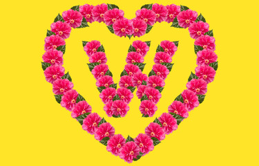 Alphabet W Design using Pink Hibiscus Flower and love shape on isolated Background. China Rose love shape letter.Double headed Pink Hibiscus font