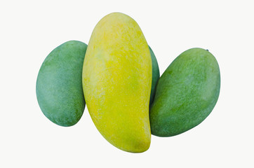 Beautiful green and yellow mangoes on white background