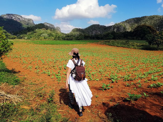 Chill and relax, strolling on the tobacco plantation in Vinales valley
