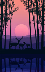 Naklejka premium Herd of deer in the natural forest. Wild animals. Mountains horizon hills silhouettes of trees. Evening Sunrise and sunset. Landscape wallpaper. Illustration vector style. Colorful view background. 