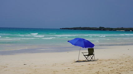 Paradise beach incredible flower breeders, white clean sand. Blue beach umbrella and chair by the ocean. Deserted sea coast, no tourists on the beach in Okinawa, Miyakojima, Japan