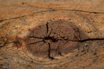 old wood texture
