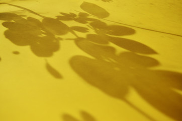 shade of flowers on a yellow background sunny