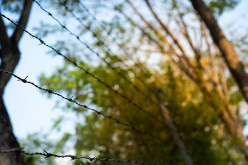 Shallow Depth of field of barbed wire and blurred background. Concept for forbidden area and...