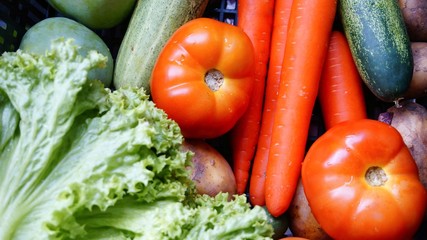 Image of mixed vegetable such as tomatoes and carrots.