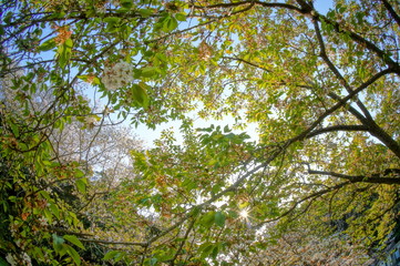 桜と春と青春と輝く絶景