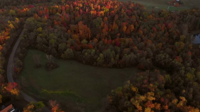 Areal shot of gorgeous Autumn colors of country hills and apple orchard. Pan down from skyline to tree covered hill to apple orchard.