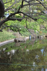 日本風庭園にて