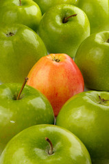 Lone Yellow red Gala apple surrounded by green Granny Smith apples