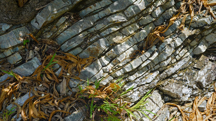 Stone texture, abstract background, uneven lines, bends of stone layers. Natural pattern for your product.wavy structure of layers of stone