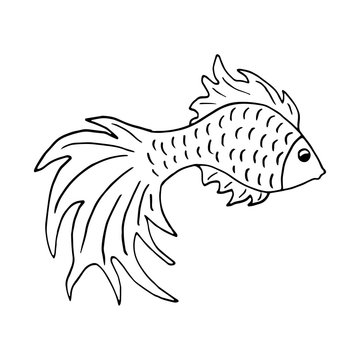 Symbol editable template fish symbol. Hand-drawn goldfish, vector doodle.