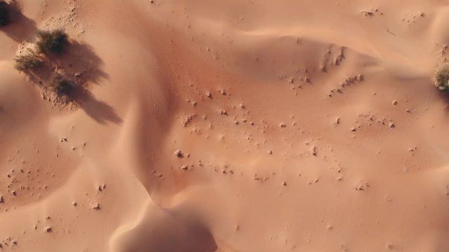 Red sand dunes in the desert. Drone aerial cinematic shot. 4K.