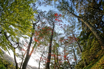 桜と春と青春と輝く絶景
