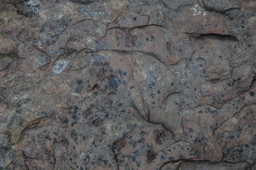 Stone