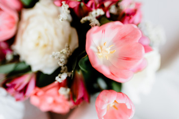 pink and white flowers