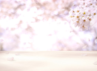 合成用背景　桜の木とテーブル © nishida