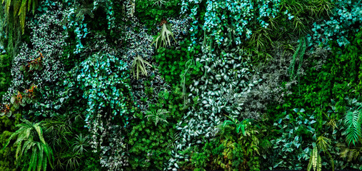 A variety of forest garden walls such as orchids,various fern leaves,palm leaves and many more.