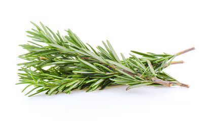 Rosemary on white background