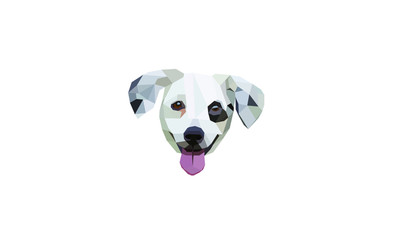 dog polygonal vector illustration, low poly concept.