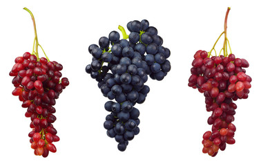 Cluster of grape. Bunch of grapes. Wine grapes. Collection with grapes red, dark blue. Table grapes. fresh grapes.