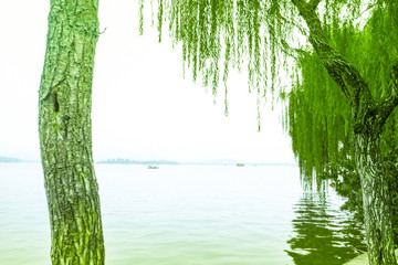 grand lake with white sky background and trees