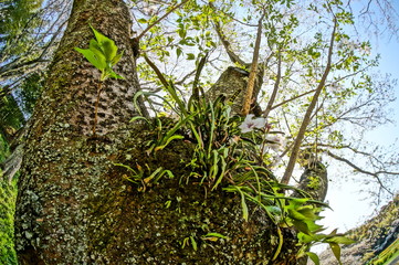 桜と春と青春と輝く絶景
